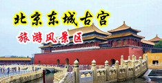 骚逼视频免费中国北京-东城古宫旅游风景区